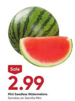 Stater Bros Mini Seedless Watermelons offer