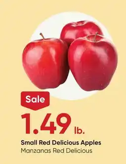 Stater Bros Small Red Delicious Apples offer