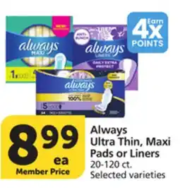 Albertsons Always Ultra Thin, Maxi Pads or Liners offer