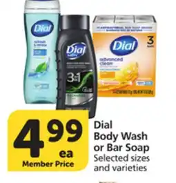 Albertsons Dial Body Wash or Bar Soap offer