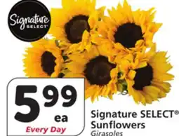 Albertsons Signature SELECT Sunflowers offer
