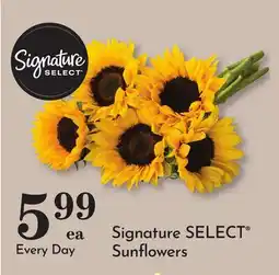 Pavilions Signature SELECT Sunflowers offer