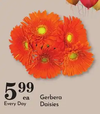 Pavilions Gerbera Daisies offer