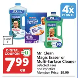 Pavilions Mr. Clean Magic Eraser or Multi-Surface Cleaner offer