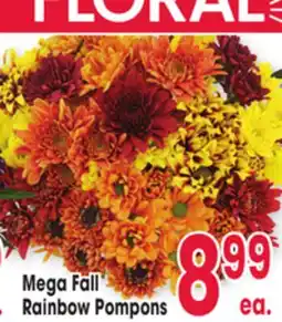 Jewel-Osco Mega Fall Rainbow Pompons offer