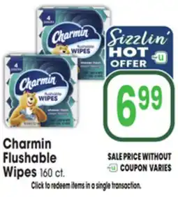 Jewel-Osco Charmin Flushable Wipes offer