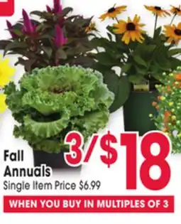 Jewel-Osco Fall Annuals offer