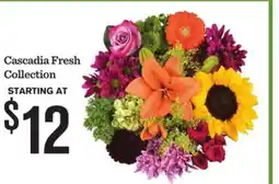 Mariano's Cascadia Fresh Collection offer