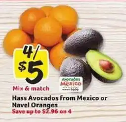 Winn Dixie Hass Avocados from Mexico or Navel Oranges offer
