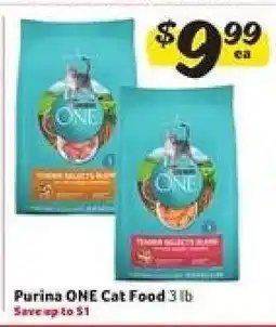 Winn Dixie Purina ONE Cat Food offer