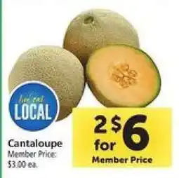 Safeway Cantaloupe offer