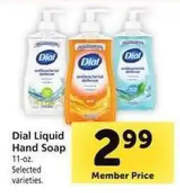 Safeway Dial Liquid Hand Soap offer