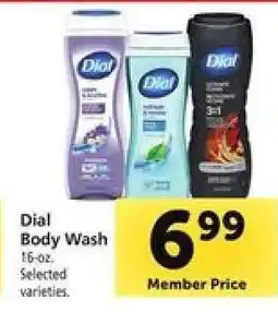 Safeway Dial Body Wash offer