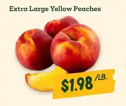Sprouts Farmers Market Extra Large Yellow Peaches offer