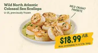 Sprouts Farmers Market Wild North Atlantic Colossal Sea Scallops offer