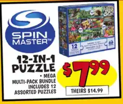 Ollie's 12-IN-1 PUZZLE offer