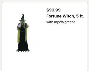 Walgreens Fortune Witch, 5 ft offer