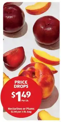 Aldi Nectarines or Plums offer