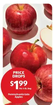 Aldi Pennsylvania Gala Apples offer