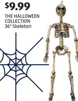 Aldi THE HALLOWEEN COLLECTION 36 Skeleton offer