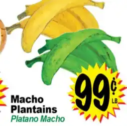 Superior Grocers Macho Plantains offer