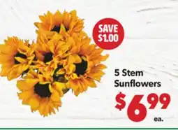 Vallarta Supermarkets 5 Stem Sunflowers offer