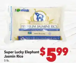 Vallarta Supermarkets Super Lucky Elephant Jasmin Rice offer