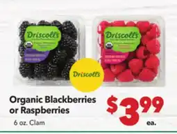 Vallarta Supermarkets Organic Blackberries or Raspberries offer