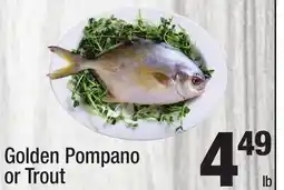 Super King Markets Golden Pompano or Trout offer