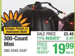 Menards 300-Count Mini offer