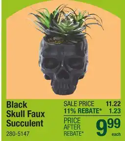 Menards Black Skull Faux Succulent offer