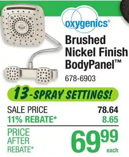 Menards oxygenics Brushed Nickel Finish BodyPanel offer