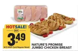 Food Lion Nature's Promise Jumbo Chicken Breast offer