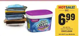 Food Lion Oxiclean offer