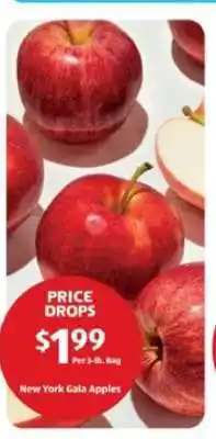 Aldi New York Gala Apples offer