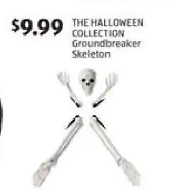 Aldi Groundbreaker Skeleton offer