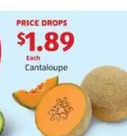 Aldi Cantaloupe offer