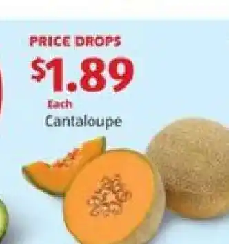 Aldi Cantaloupe offer