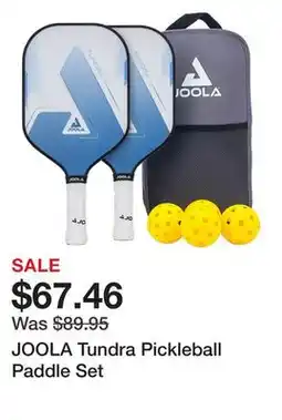 Dick's Sporting Goods JOOLA Tundra Pickleball Paddle Set offer