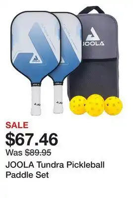 Dick's Sporting Goods JOOLA Tundra Pickleball Paddle Set offer