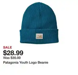 Dick's Sporting Goods Patagonia Youth Logo Beanie offer