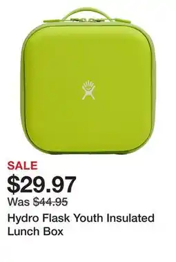 Dick's Sporting Goods Hydro Flask Youth Insulated Lunch Box offer