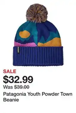 Dick's Sporting Goods Patagonia Youth Powder Town Beanie offer