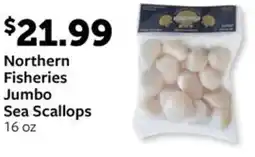 Fareway Northern Fisheries Jumbo Sea Scallops offer