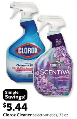 Fareway Clorox Cleaner offer