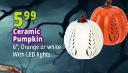 Ocean State Job Lot Ceramic Pumpkin offer