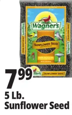 Ocean State Job Lot Wagner's Black Oil Sunflower Seed Wild Bird Food 5 lbs offer