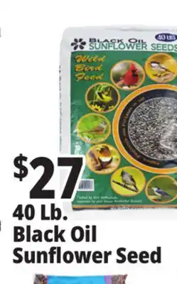 Ocean State Job Lot Black Oil Sunflower Seeds 40 lbs offer