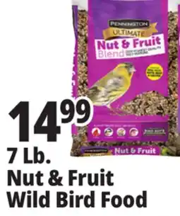 Ocean State Job Lot Pennington Ultimate Nut & Fruit Blend Wild Bird Seed 7 lbs offer