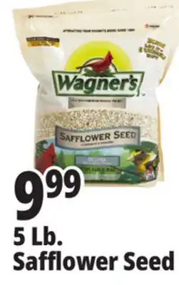 Ocean State Job Lot Wagner's Safflower Seed Deluxe Wild Bird Food offer